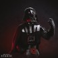 Star Wars - Buste Dark Vador x2