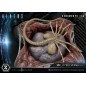 Alien - S Premium Masterline Series statuette Xenomorph Egg Open Version ( Comics) 28 cm Alien - S Premium Masterline Series statuette Xenomorph Egg Open Version ( Comics) 28 cm
