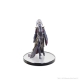 Dungeons & Dragons The Legend of Drizzt 35th Anniversary - Miniatures pré-peintes Family & Foes Boxed Set