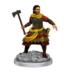 Dungeons & Dragons Nolzur's Marvelous Miniatures - Pack 2 miniatures à peindre Human Fighters