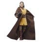 Star Wars : The Acolyte Black Series - Figurine Jedi Master Sol 15 cm