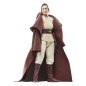 Star Wars : The Acolyte Black Series - Figurine Jedi Master Indara 15 cm