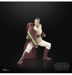 Star Wars : The Acolyte Black Series - Figurine Jedi Master Indara 15 cm