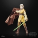 Star Wars : The Acolyte Black Series - Figurine Padawan Jecki Lon 15 cm