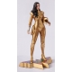 DC Comics - Statue Wonderwoman 26 cm