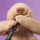Star Wars Episode VI - Figurine Jumbo Vintage Kenner Droopy McCool 30 cm