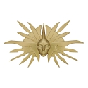 Dungeons & Dragons - Médaillon Lady of Pain Limited Edition