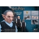 Harry Potter - Figurine 1/6 My Favourite Movie Griphook (Banker) 20 cm