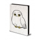 Harry Potter - Carnet de notes Premium A5 Hedwig Fluffy