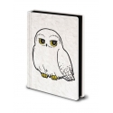 Harry Potter - Carnet de notes Premium A5 Hedwig Fluffy