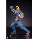 Street Fighter - Statuettes 1/10 Cammy & Birdie 24 cm