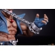 Street Fighter - Statuettes 1/10 Cammy & Birdie 24 cm