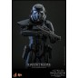 Star Wars - Figurine Movie Masterpiece 1/6 Shadow Trooper avec Death Star Environment 30 cm Star Wars - Figurine Movie Masterpiece 1/6 Shadow Trooper avec Death Star Environment 30 cm