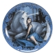 Anne Stokes - Pack 4 plaques Unicorn and Maiden