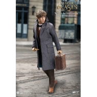 Les Animaux fantastiques - Figurine My Favourite Movie 1/6 Newt Scamander Grey Coat Ver. 30 cm