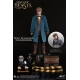 Les Animaux fantastiques - Figurine My Favourite Movie 1/6 Newt Scamander Grey Coat Ver. 30 cm