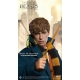 Les Animaux fantastiques - Figurine My Favourite Movie 1/6 Newt Scamander Grey Coat Ver. 30 cm