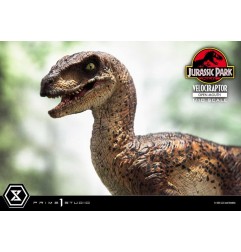 Jurassic Park - Statuette Prime Collectibles 1/10 Velociraptor Open Mouth 19 cm