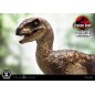 Jurassic Park - Statuette Prime Collectibles 1/10 Velociraptor Open Mouth 19 cm Jurassic Park - Statuette Prime Collectibles 1/10 Velociraptor Open Mouth 19 cm