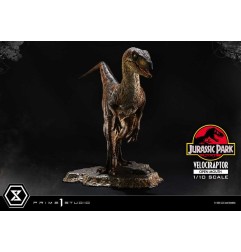 Jurassic Park - Statuette Prime Collectibles 1/10 Velociraptor Open Mouth 19 cm
