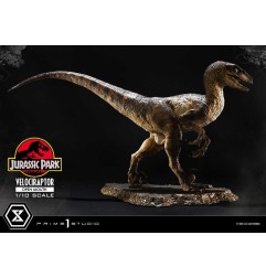 Jurassic Park - Statuette Prime Collectibles 1/10 Velociraptor Open Mouth 19 cm
