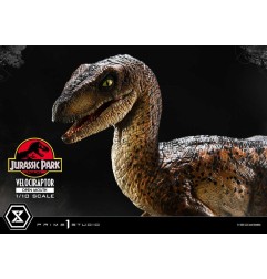Jurassic Park - Statuette Prime Collectibles 1/10 Velociraptor Open Mouth 19 cm