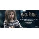 Harry Potter - Figurine My Favourite Movie 1/6 Bellatrix Lestrange Prisoner Ver. 30 cm