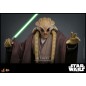 Star Wars - Figurine Movie Masterpiece 1/6 Kit Fisto 32 cm