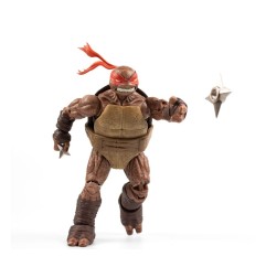 Tortues Ninja - Pack 4 figurines BST AXN Zombie Turtle (IDW Comics) 13 cm