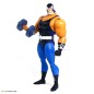 Batman - : The Animated Series figurine 1/6 Bane 30 cm Batman - : The Animated Series figurine 1/6 Bane 30 cm