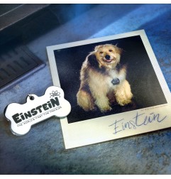 Retour vers le futur - Retour vers le Futur Time Travel Memories II Expansion Kit