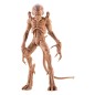 Pumpkinhead - : Le Démon d'Halloween figurine  23 cm