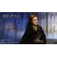 Harry Potter - Figurine 1/6 My Favourite Movie Ginny Weasley 26 cm