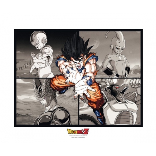 DRAGON BALL - Collector Artprint DBZ Goku