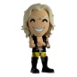 All Elite Wrestling - Vinyl figurine Lionheart Chris Jericho 10 cm