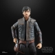 Star Wars : Andor Black Series - Figurine Cassian Andor 15 cm