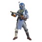 Star Wars : The Mandalorian Black Series - Pack 2 figurines Mandalorian Shriek-Hawk Trainers 15 cm Star Wars : The Mandalorian Black Series - Pack 2 figurines Mandalorian Shriek-Hawk Trainers 15 cm