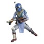 Star Wars : The Mandalorian Black Series - Pack 2 figurines Mandalorian Shriek-Hawk Trainers 15 cm Star Wars : The Mandalorian Black Series - Pack 2 figurines Mandalorian Shriek-Hawk Trainers 15 cm