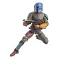 Star Wars : The Mandalorian Black Series - Pack 2 figurines Mandalorian Shriek-Hawk Trainers 15 cm Star Wars : The Mandalorian Black Series - Pack 2 figurines Mandalorian Shriek-Hawk Trainers 15 cm