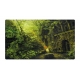 Ultimate Guard - Tapis de jeu Lands Edition II Forêt 61 x 35 cm