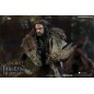 Hobbit, Le - Le Hobbit figurine 1/6 Thorin Oakenshield 25 cm