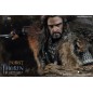 Hobbit, Le - Le Hobbit figurine 1/6 Thorin Oakenshield 25 cm