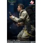S.O.S Fantômes - Ghostbusters statuette  1/8 Egon Spengler + Ray Stantz Twin Pack Set 22 cm