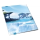 Ultimate Guard - FlexXfolio 9-Pocket Lands Edition Île I