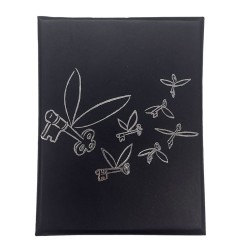 Harry Potter - Pendentif et collier Flying Key