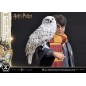 Harry Potter - Statuette Prime Collectibles 1/6  with Hedwig 28 cm