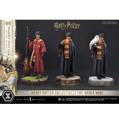 Harry Potter - Statuette Prime Collectibles 1/6  with Hedwig 28 cm
