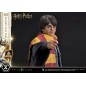 Harry Potter - Statuette Prime Collectibles 1/6 28 cm Harry Potter - Statuette Prime Collectibles 1/6 28 cm