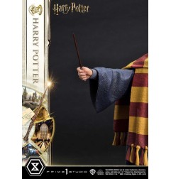 Harry Potter - Statuette Prime Collectibles 1/6 Harry Potter 28 cm