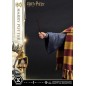 Harry Potter - Statuette Prime Collectibles 1/6 28 cm Harry Potter - Statuette Prime Collectibles 1/6 28 cm
